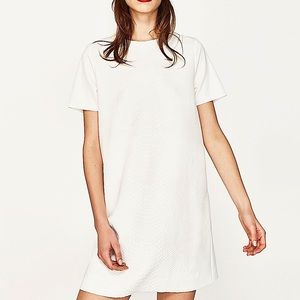 Zara Silver + White Snakeskin Dress
